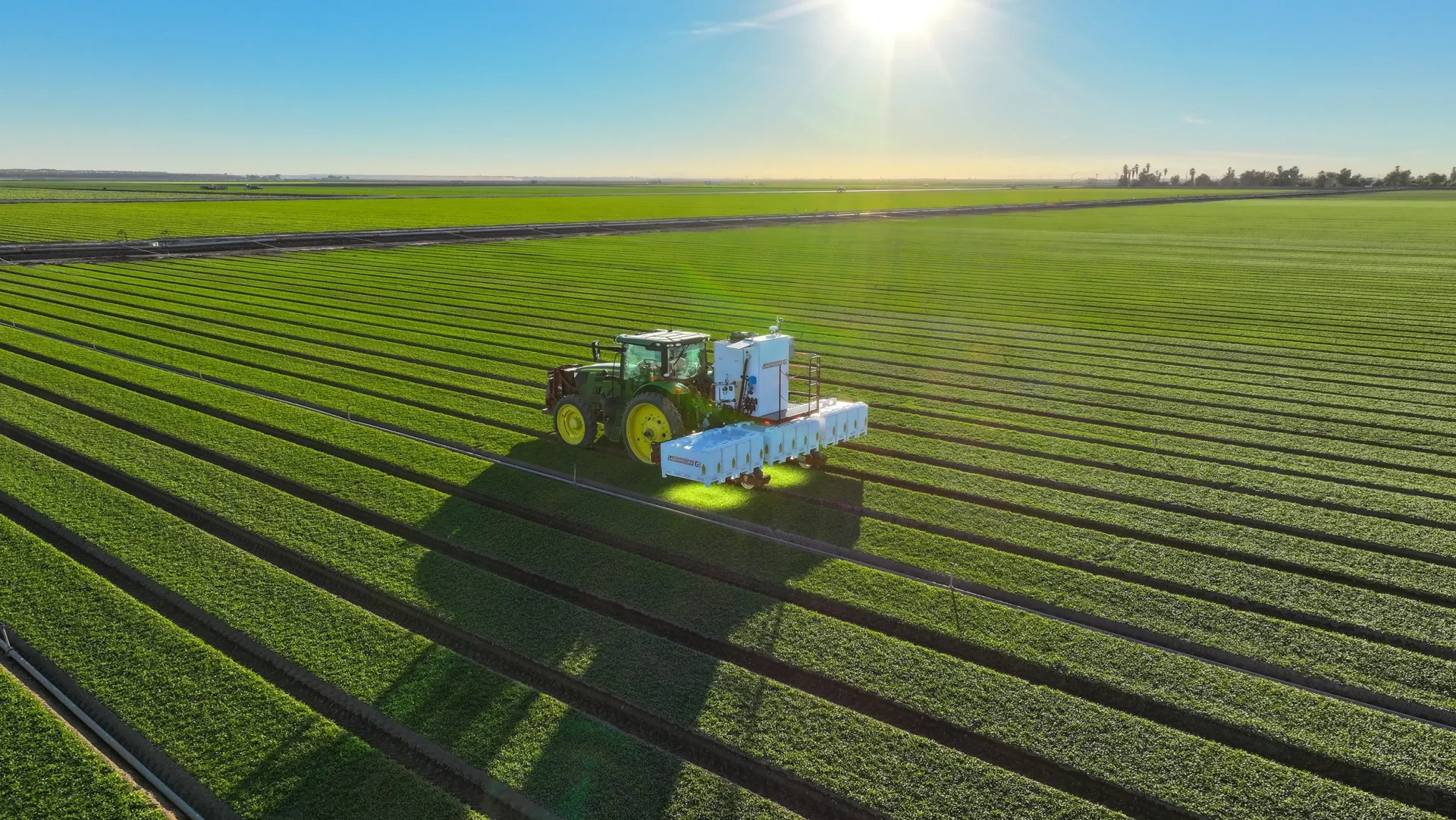 A Carbon Robotics LaserWeeder working across rows of crops